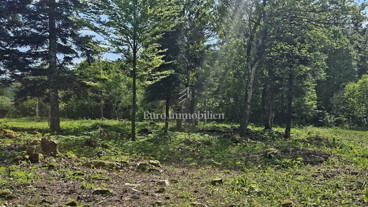 Parcela Naprodaj - PRIMORSKO-GORANSKA Vinodolska Općina