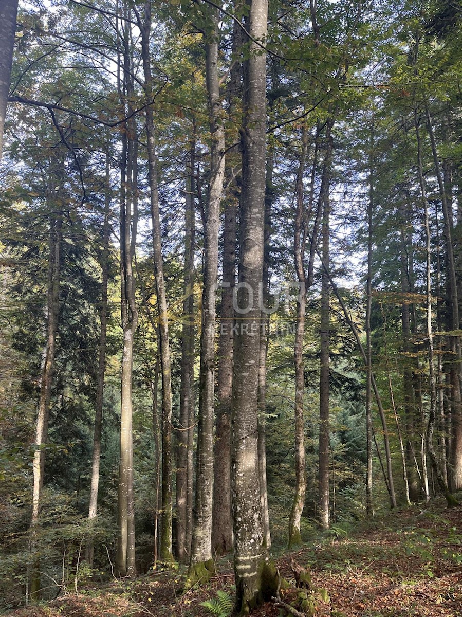 Terreno In vendita - PRIMORSKO-GORANSKA RAVNA GORA