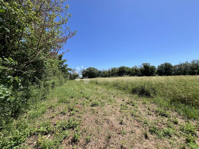 Pozemok na predaj 12229 m² – Valtura