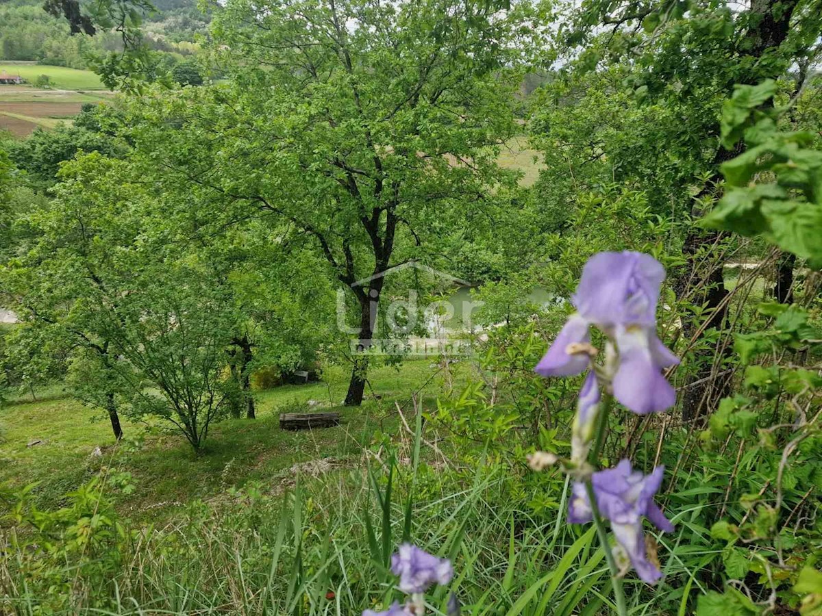 Kuća Na prodaju - ISTARSKA PAZIN