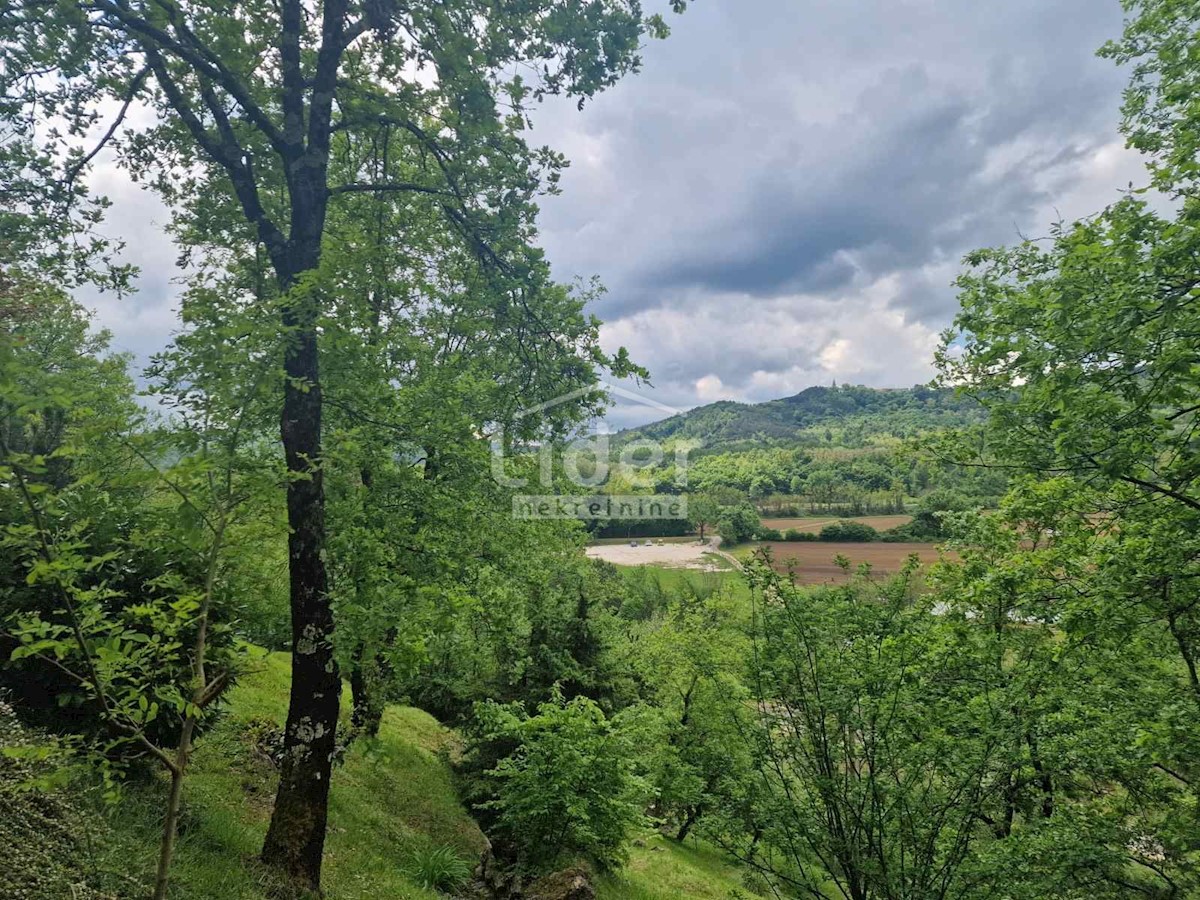 Dom Na predaj - ISTARSKA PAZIN