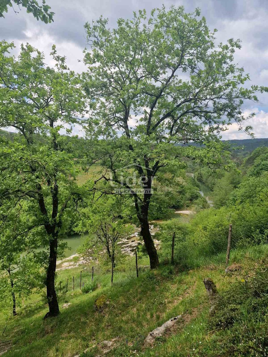 Kuća Na prodaju - ISTARSKA PAZIN