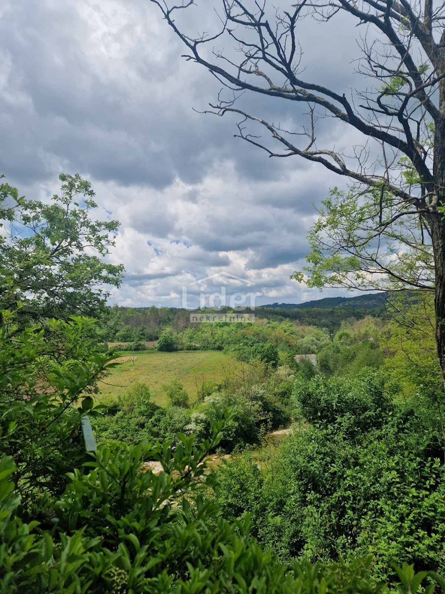 Dom Na sprzedaż - ISTARSKA PAZIN