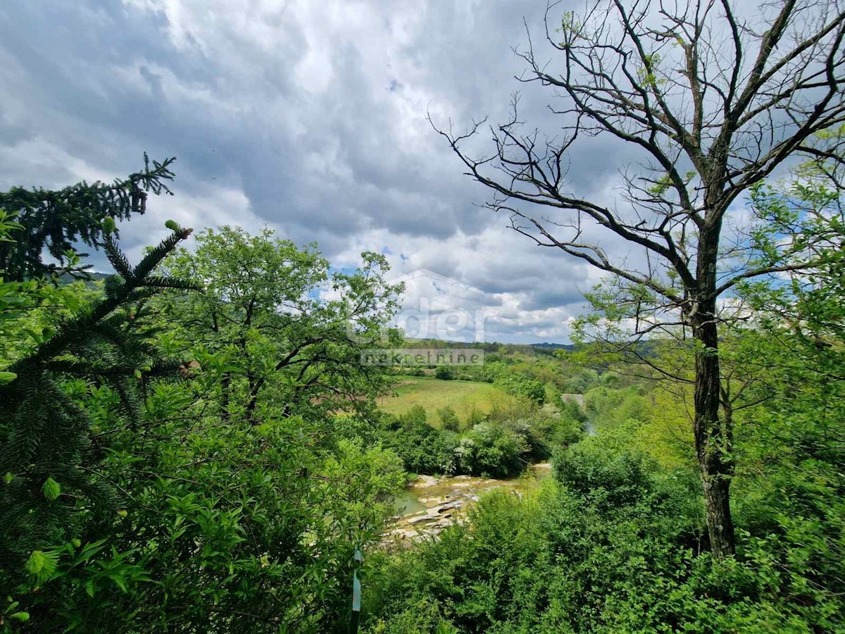 Dom Na sprzedaż - ISTARSKA PAZIN