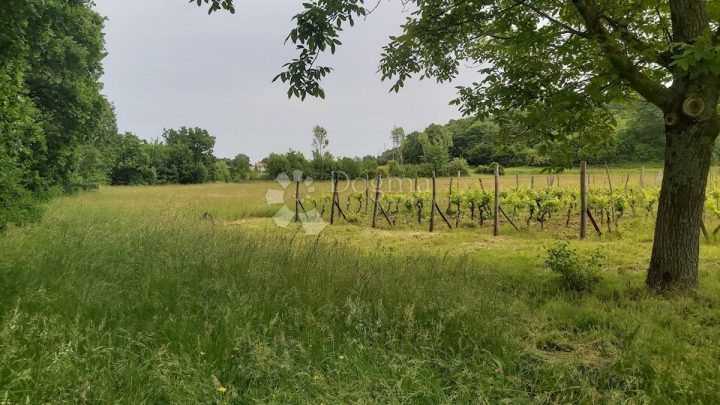 Działka na sprzedaż 10550 m² – Labin
