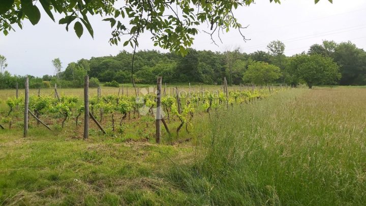 Zemljište Na prodaju - Istarska Labin - foto 2/4