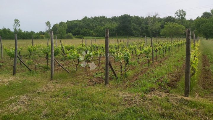 Zemljište Na prodaju - Istarska Labin - foto 4/4
