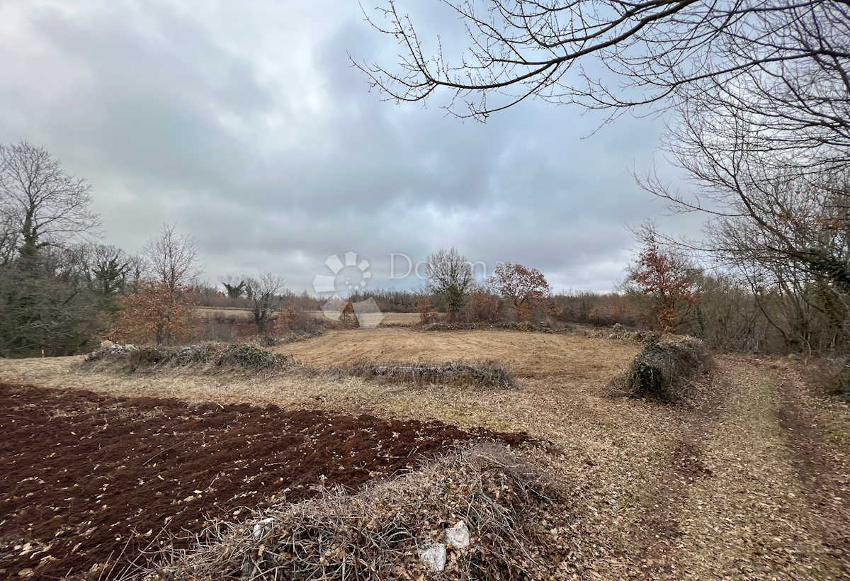 Pozemok Na predaj - ISTARSKA BARBAN