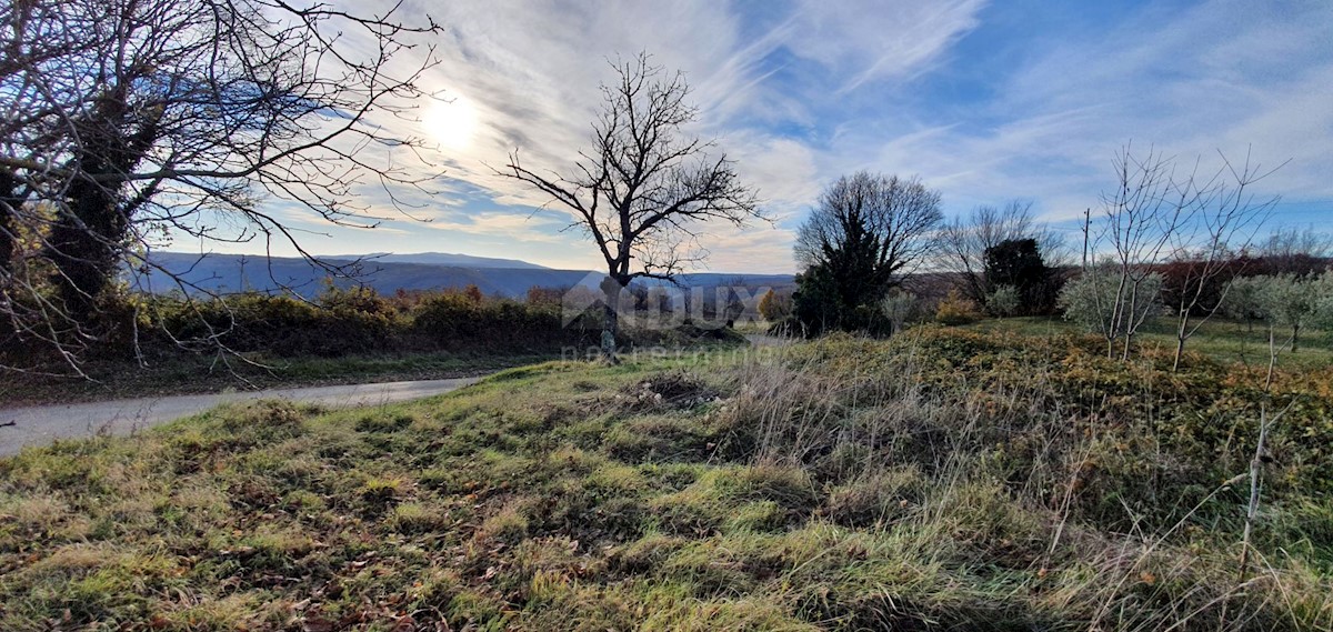 Terrain À vendre - Istarska Barban - foto 1/27