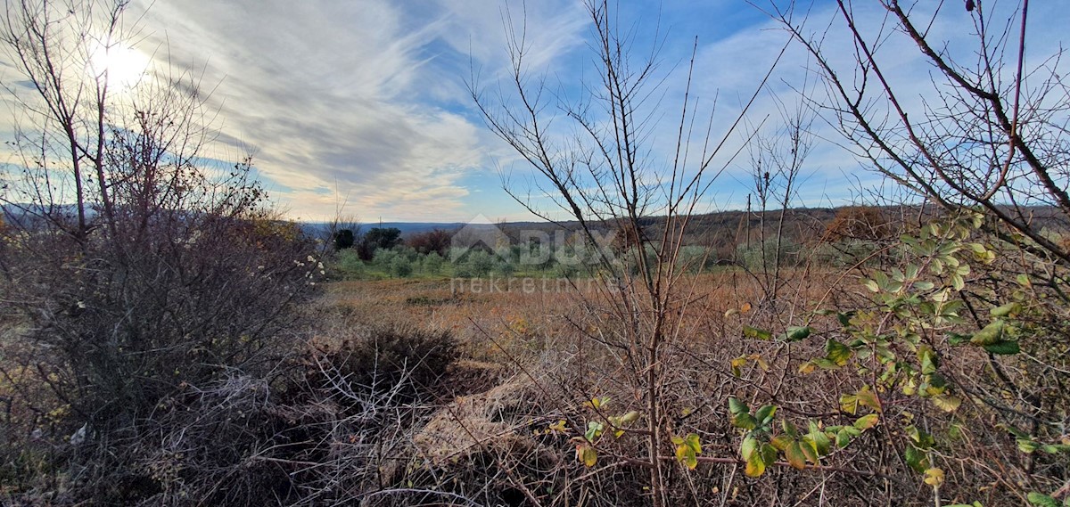 Terrain À vendre - Istarska Barban - foto 5/27