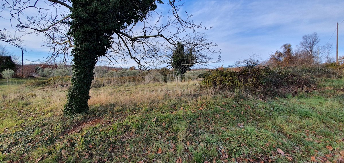 Terreno In vendita - ISTARSKA BARBAN