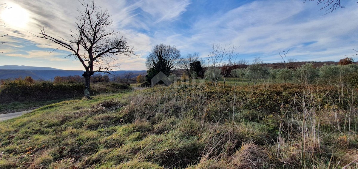 Terreno In vendita - ISTARSKA BARBAN