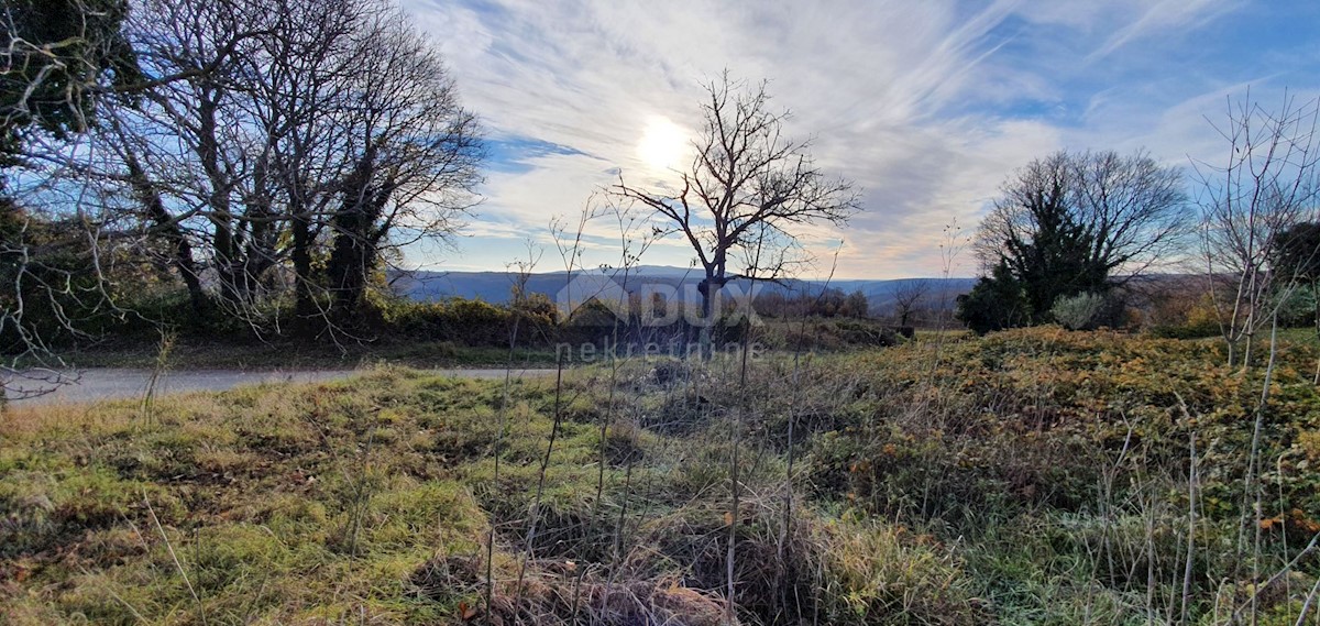 Terreno In vendita - ISTARSKA BARBAN