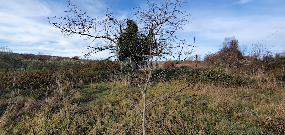 Terreno In vendita - ISTARSKA BARBAN