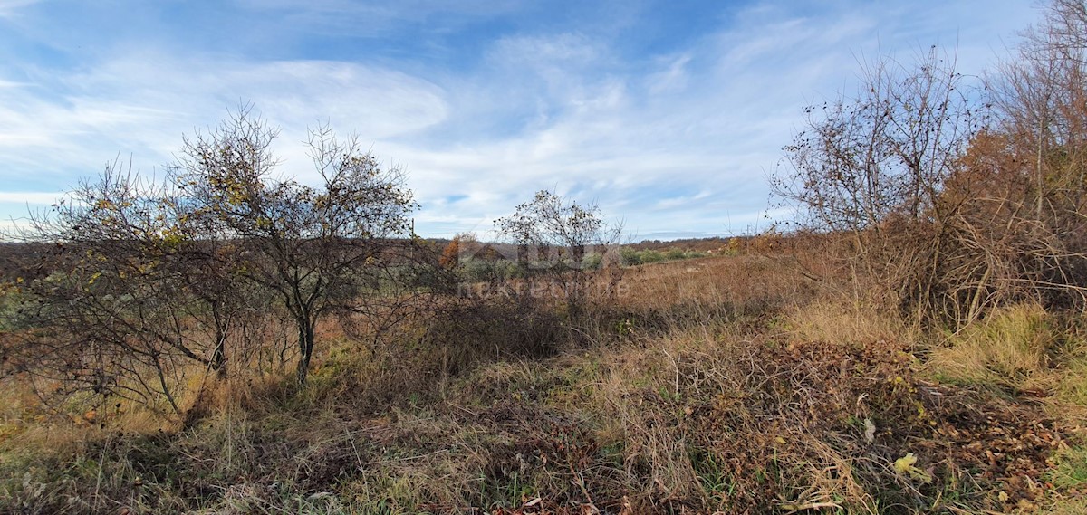 Terreno In vendita - ISTARSKA BARBAN