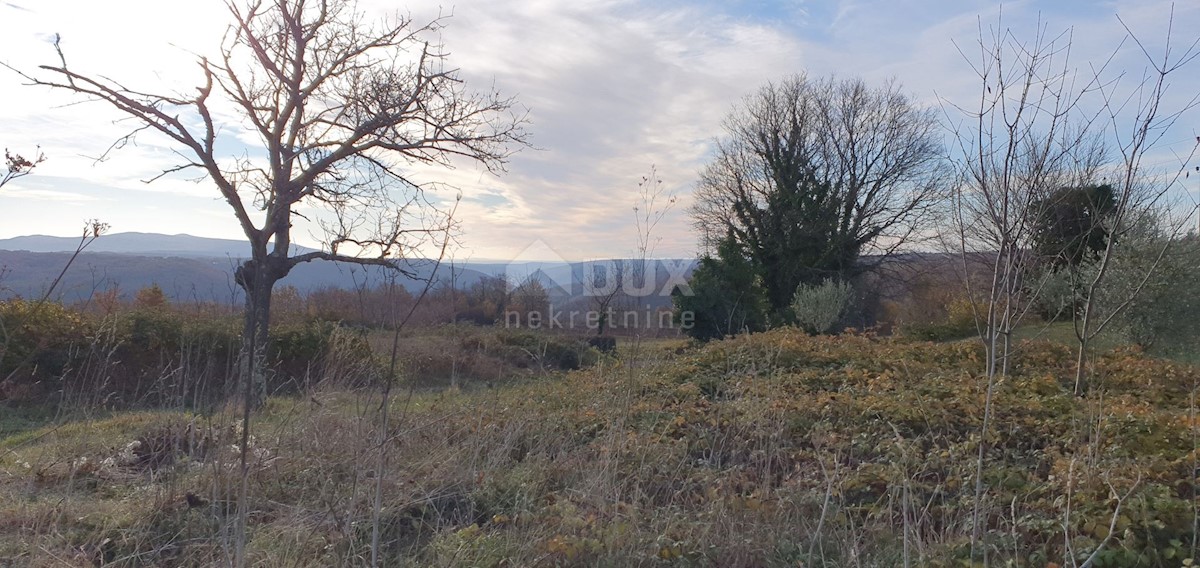 Terreno In vendita - ISTARSKA BARBAN