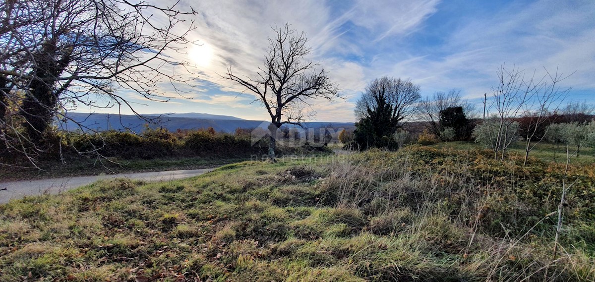 Terreno In vendita - ISTARSKA BARBAN