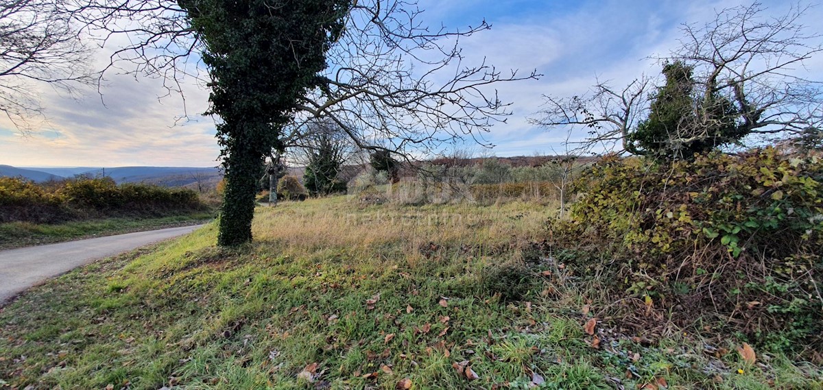 Terreno In vendita - ISTARSKA BARBAN