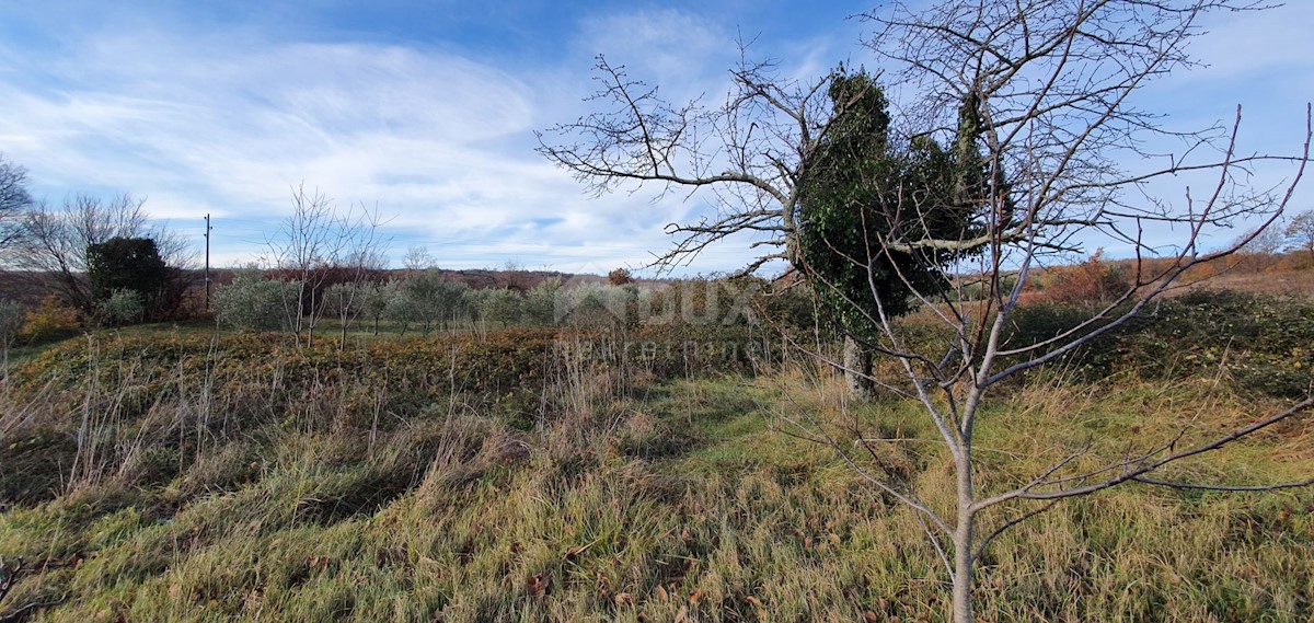 Terreno In vendita - ISTARSKA BARBAN