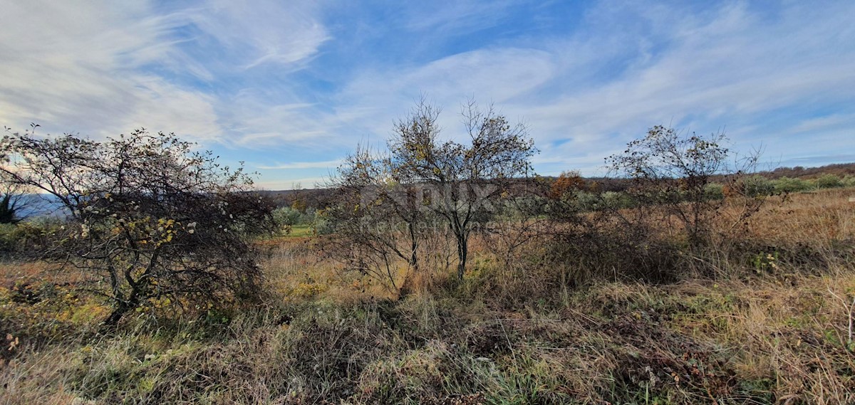 Terreno In vendita - ISTARSKA BARBAN