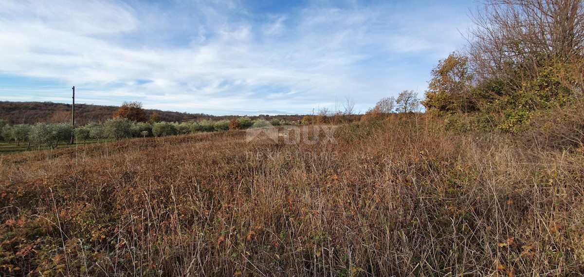 Terreno In vendita - ISTARSKA BARBAN