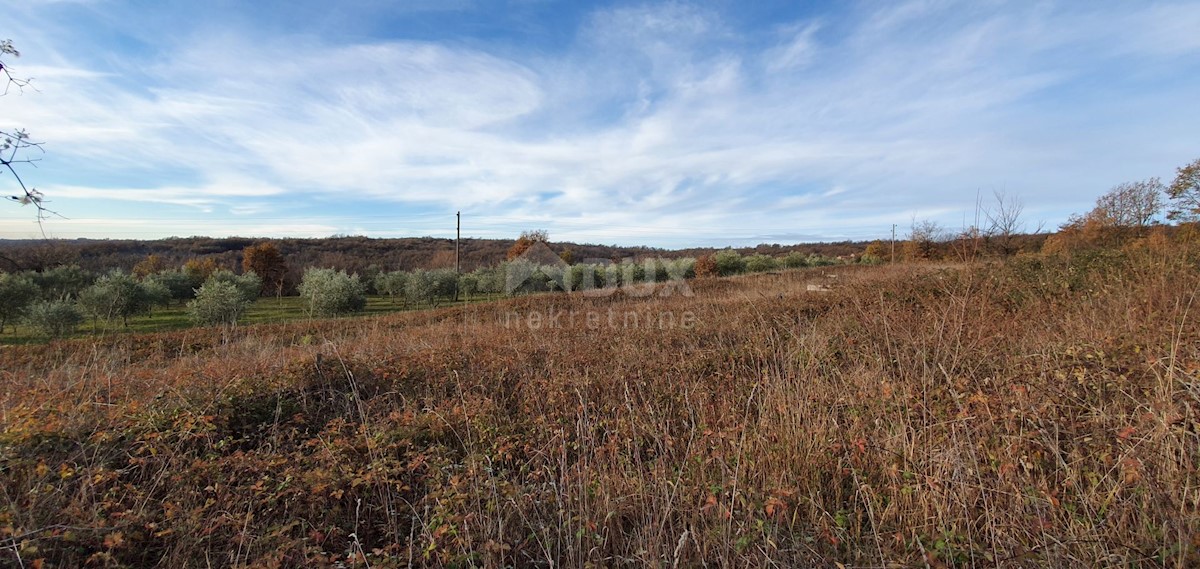 Terreno In vendita - ISTARSKA BARBAN