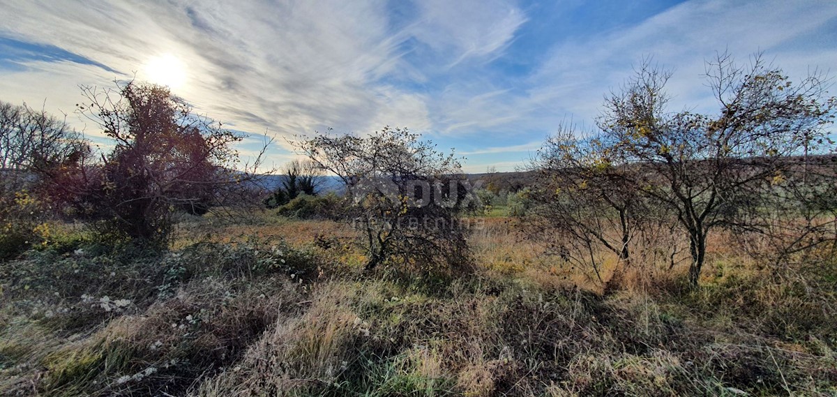 Terreno In vendita - ISTARSKA BARBAN