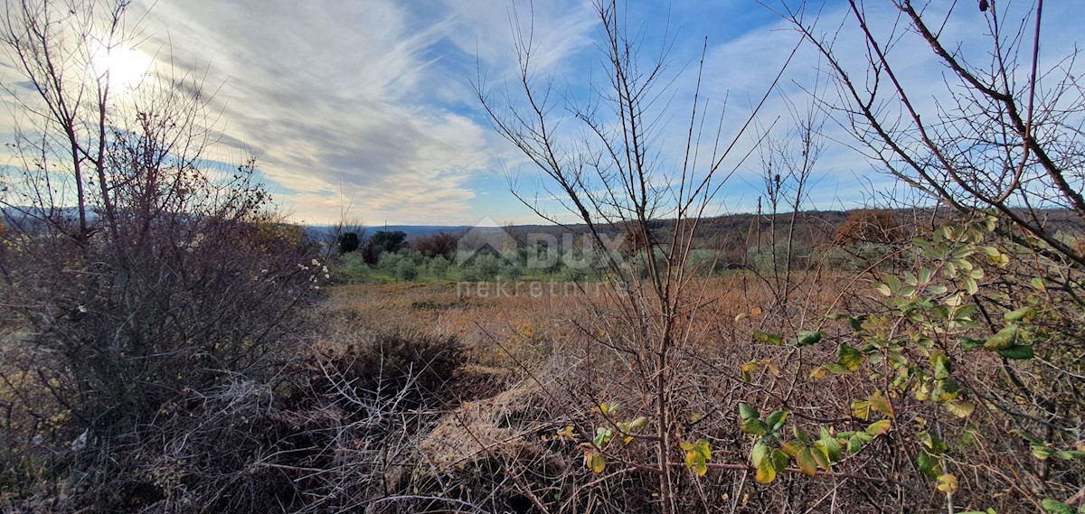 Terreno In vendita - ISTARSKA BARBAN