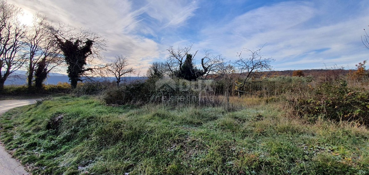 Terreno In vendita - ISTARSKA BARBAN