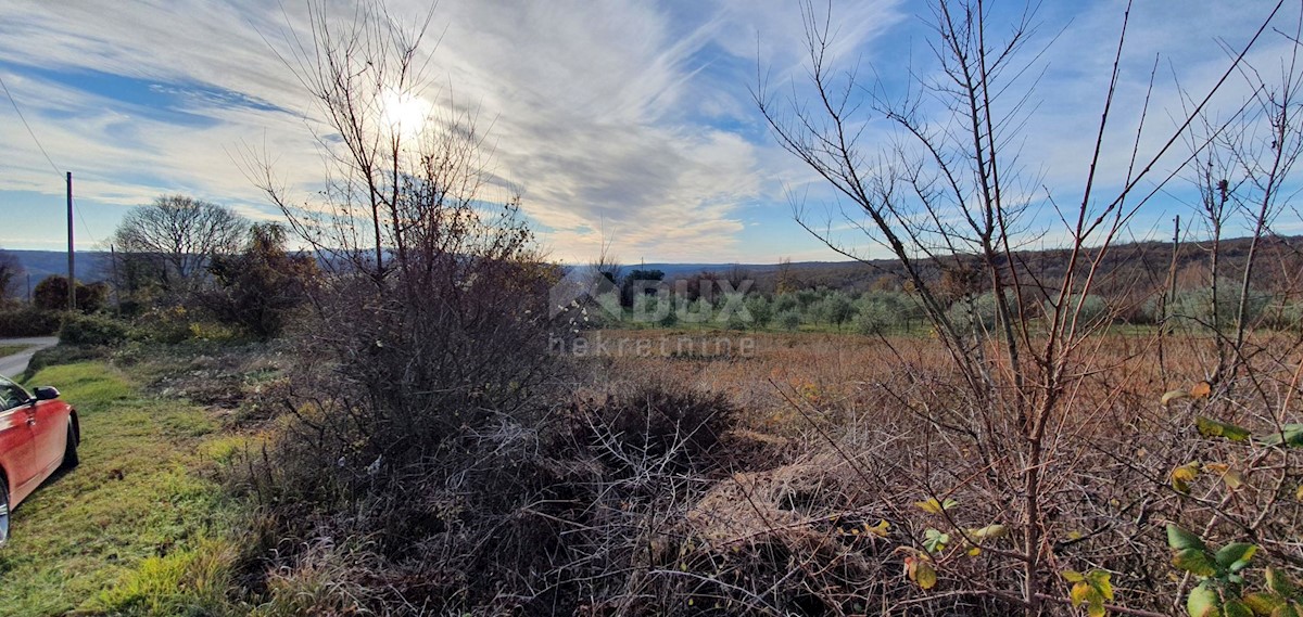 Terreno In vendita - ISTARSKA BARBAN