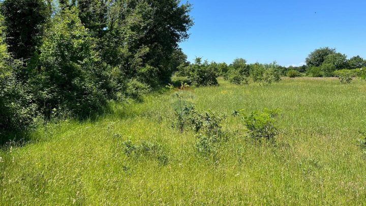 Działka na sprzedaż 18670 m² – Gradina