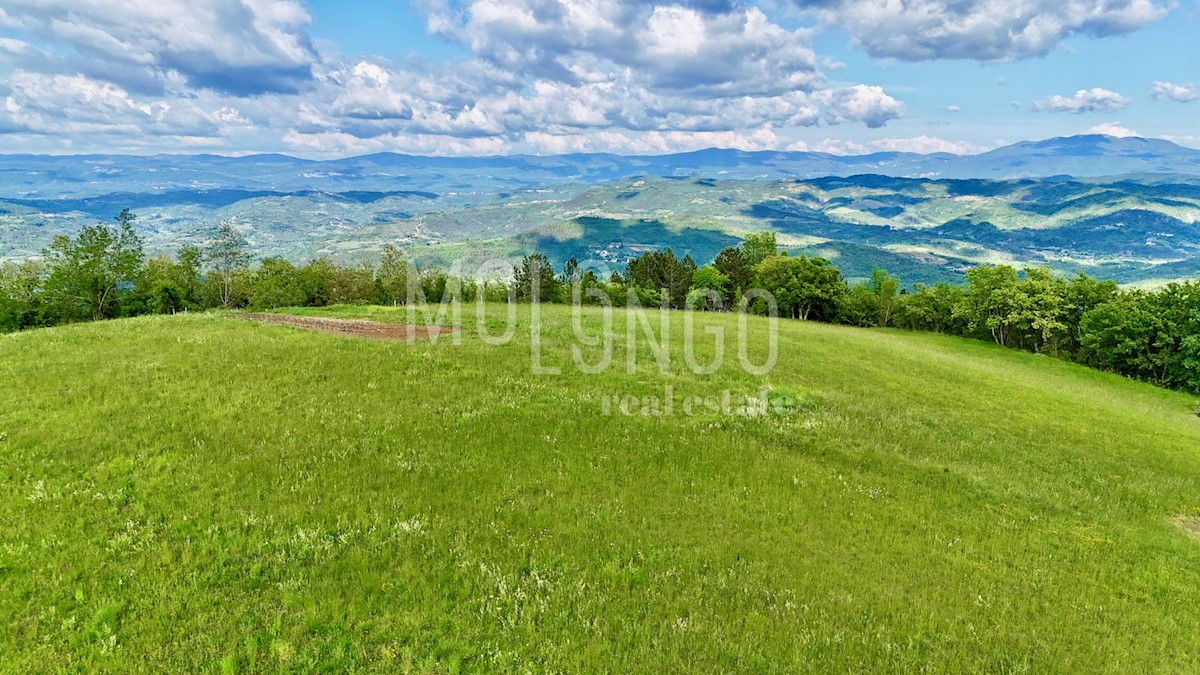 Zemljište Na prodaju - ISTARSKA PAZIN