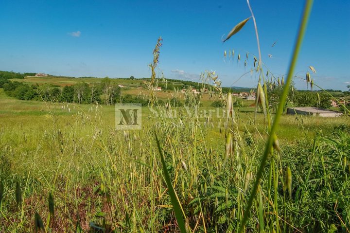 Parcela Naprodaj - Istarska Vižinada - foto 5/5