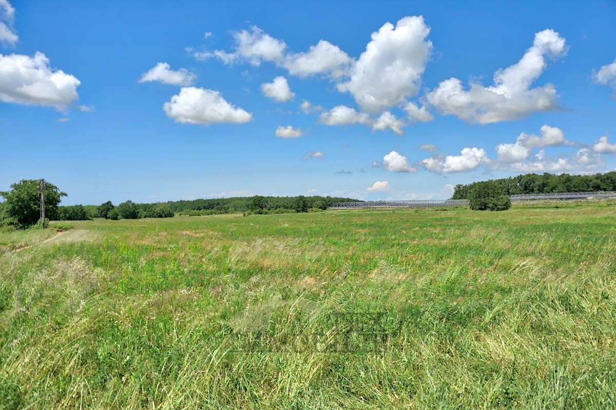 Land For sale - ISTARSKA KAŠTELIR