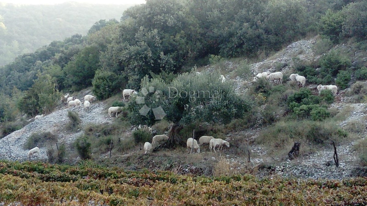 Grundstück Zu verkaufen - SPLITSKO-DALMATINSKA BRAČ