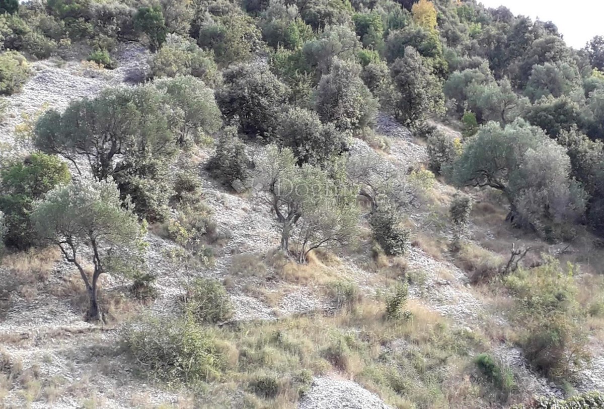 Terreno In vendita - SPLITSKO-DALMATINSKA BRAČ