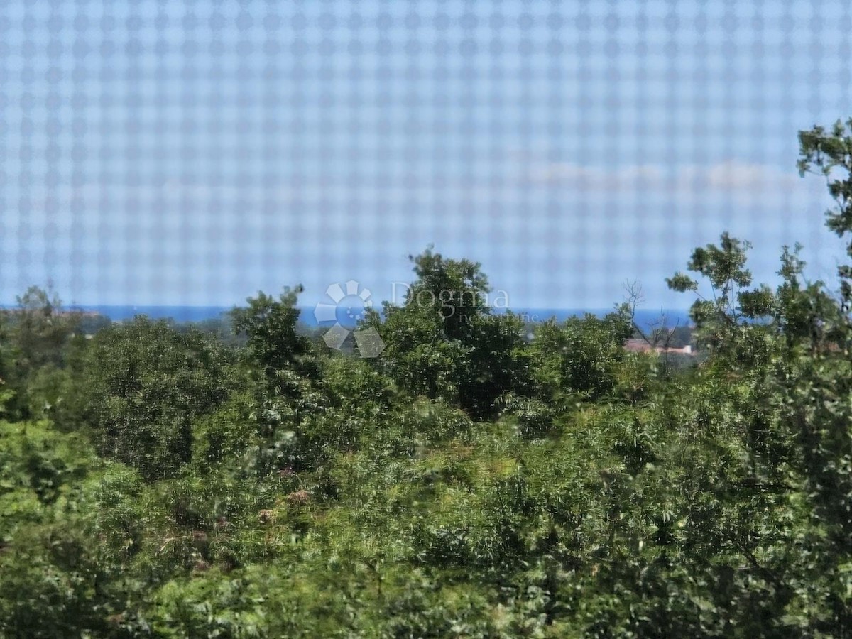 House For sale - ISTARSKA NOVIGRAD