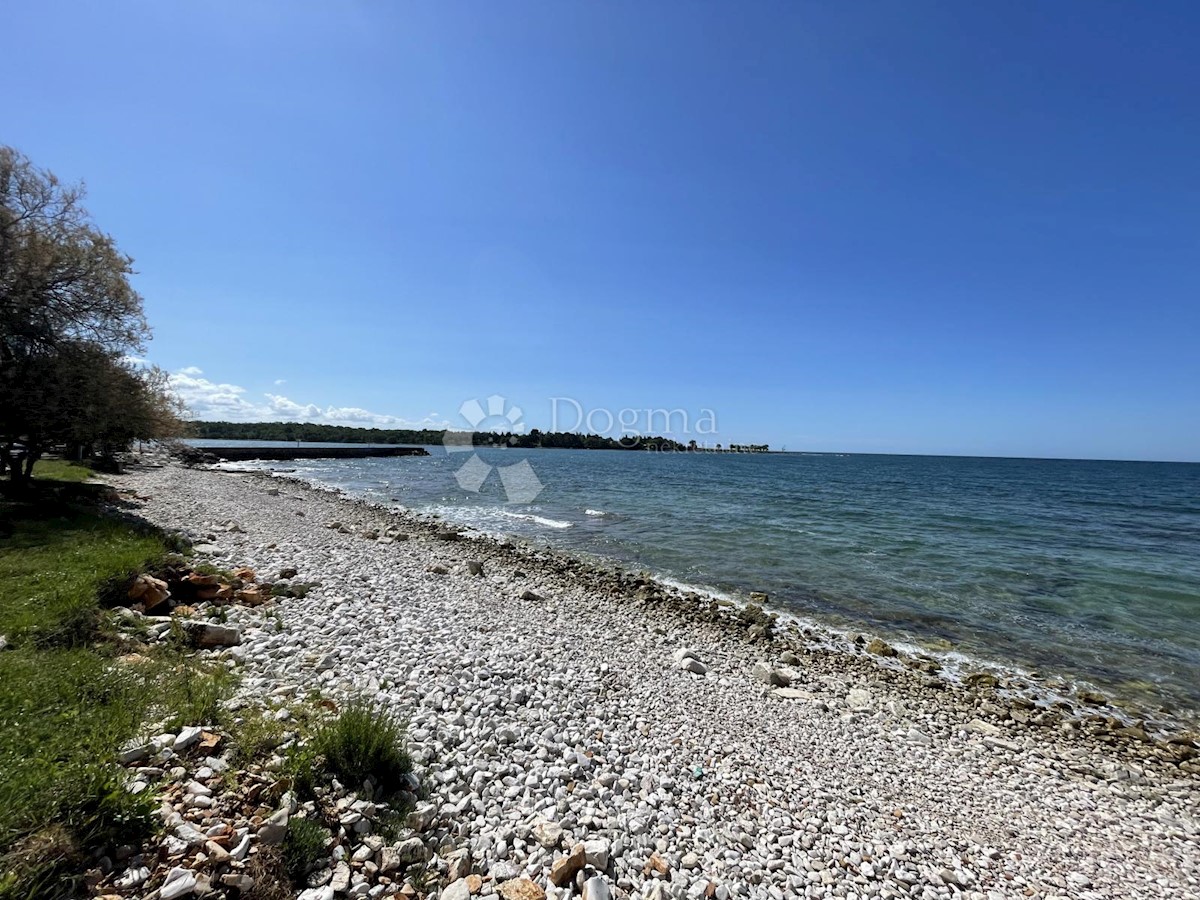 Appartamento In vendita UMAG