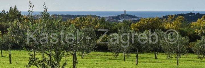 Pozemek na prodej 16000 m² – Rovinjsko Selo