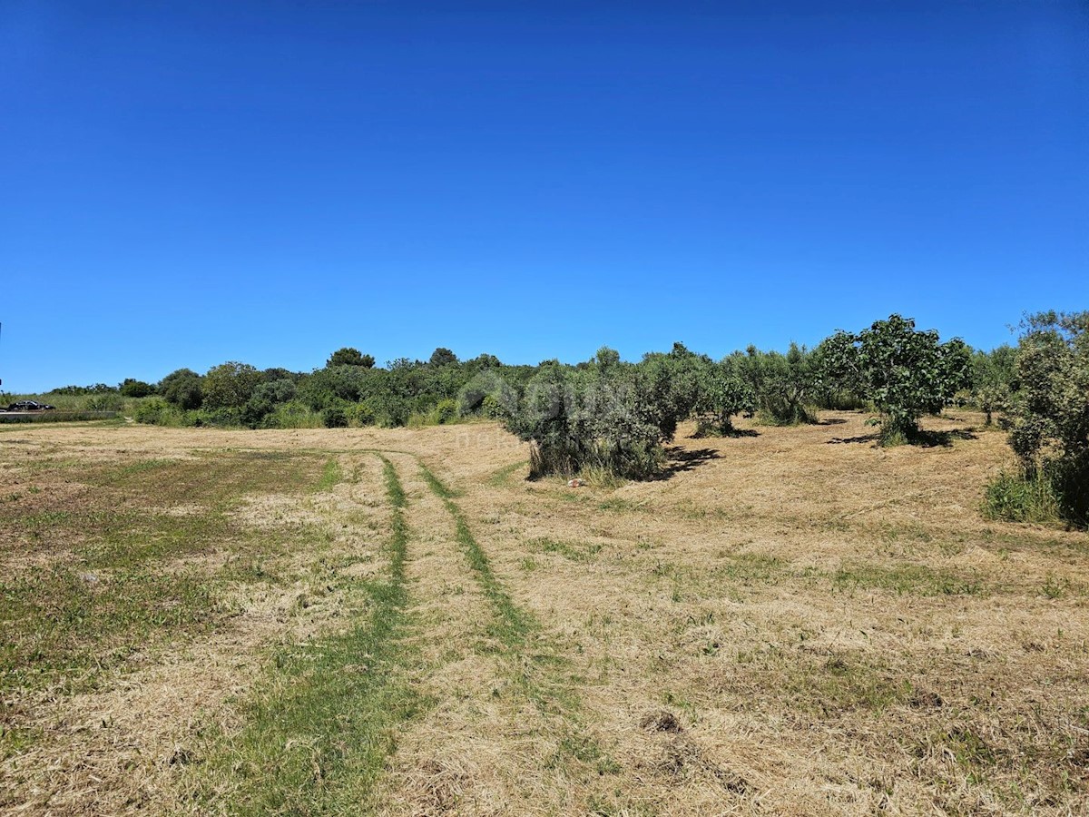 Terreno In vendita - ISTARSKA MEDULIN