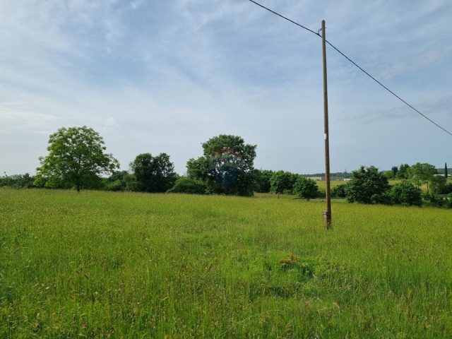 Terreno in vendita 1000 m² – Žminj
