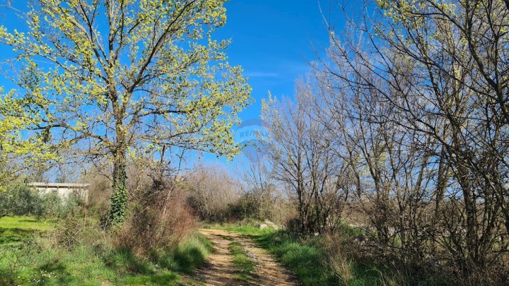 Terrain à vendre 11628 m² – Sveti Lovreč Pazenatički