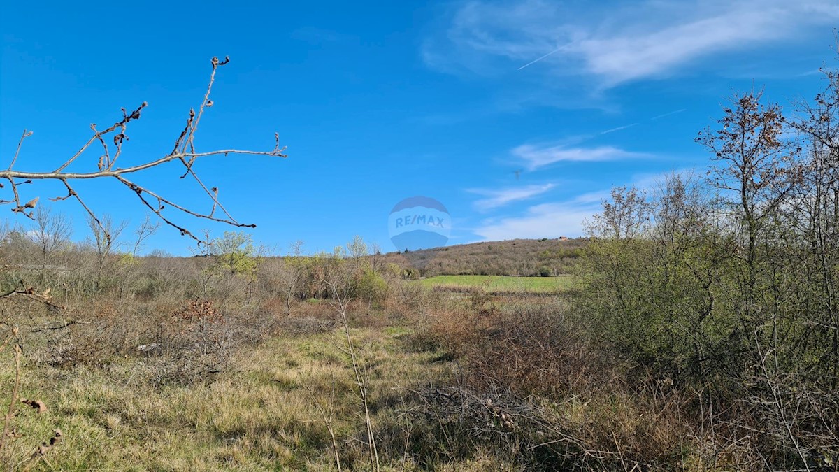 Land For sale - ISTARSKA SVETI LOVREČ