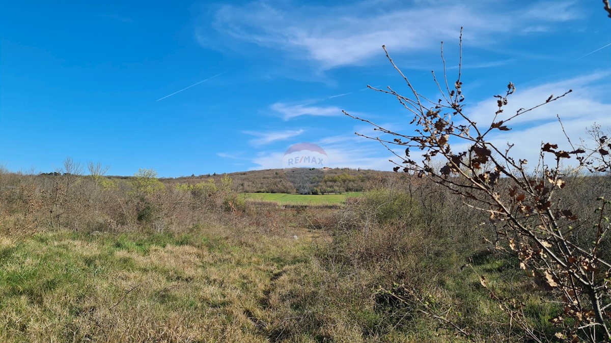 Land For sale - ISTARSKA SVETI LOVREČ