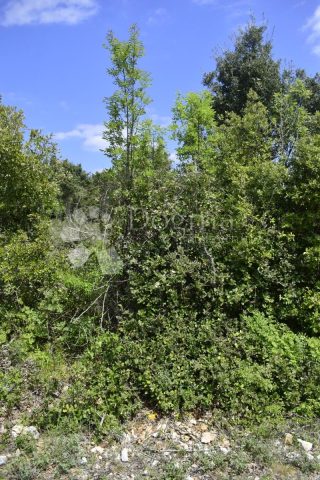Terreno In vendita - Istarska Marčana - foto 2/6