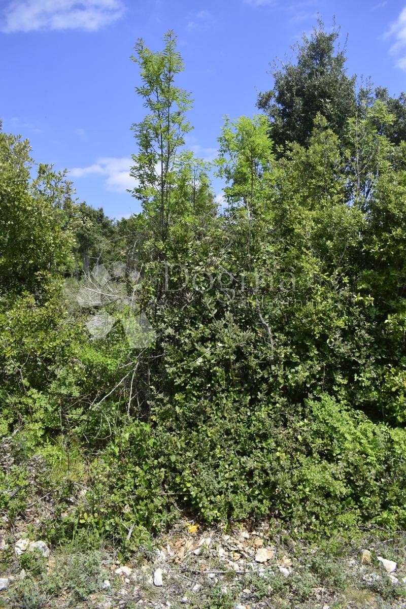 Terreno In vendita - ISTARSKA MARČANA