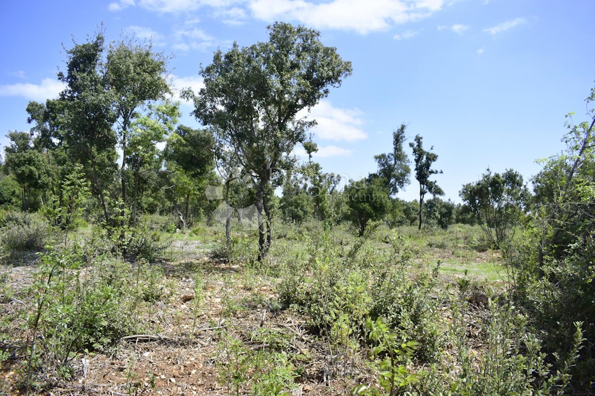 Terreno In vendita - ISTARSKA MARČANA