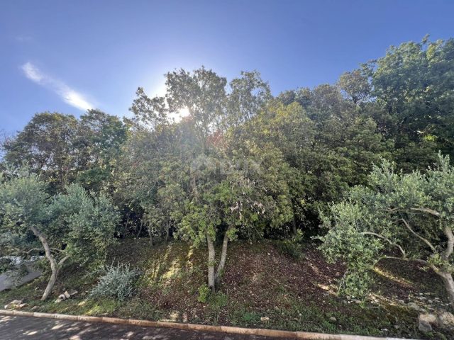 Land For sale - Istarska Pula - foto 3/4