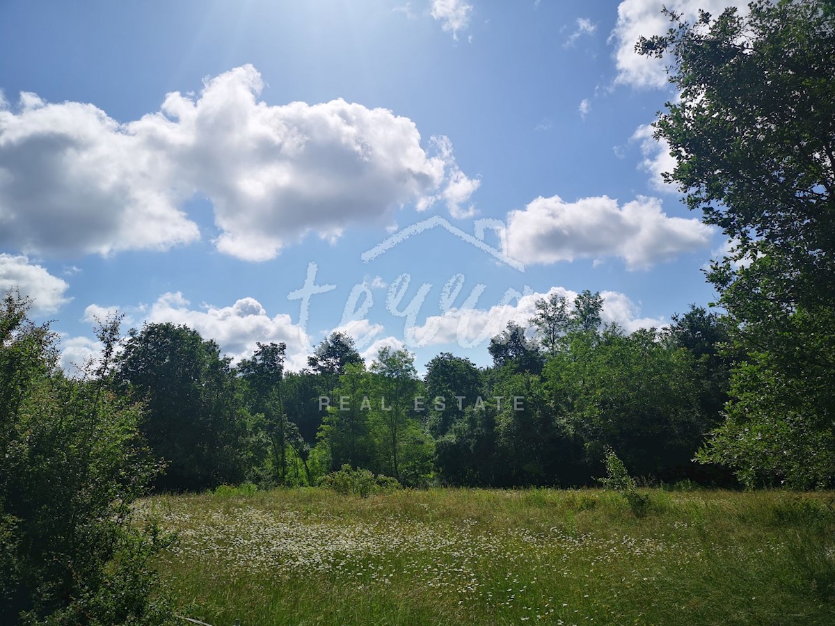 Terreno In vendita - ISTARSKA SVETA NEDELJA