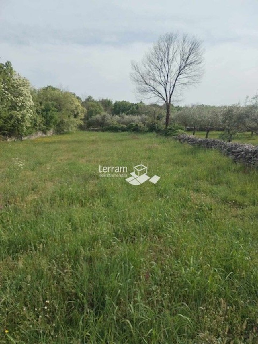 Terrain À vendre - Istarska Marčana - foto 1/2
